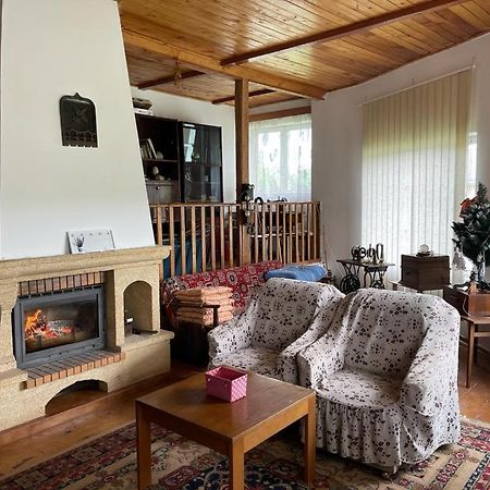 Villa Casa Adelina Valea Lunga-Cricov Esterno foto