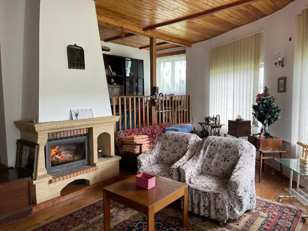 Villa Casa Adelina Valea Lunga-Cricov Esterno foto