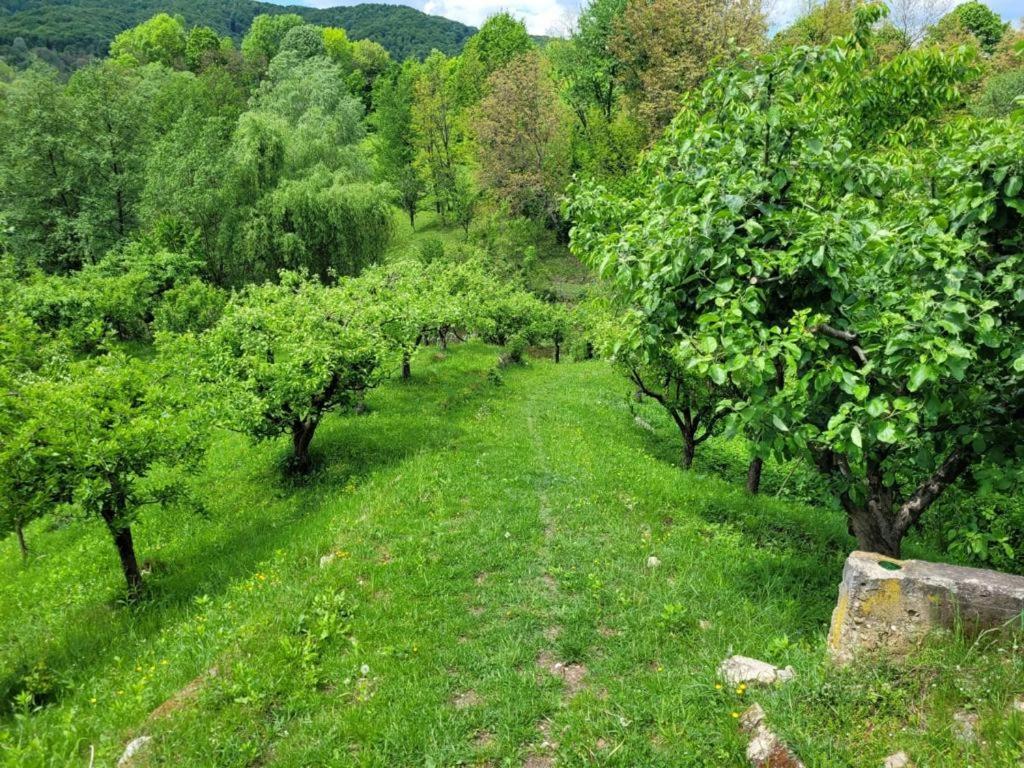 Villa Casa Adelina Valea Lunga-Cricov Esterno foto