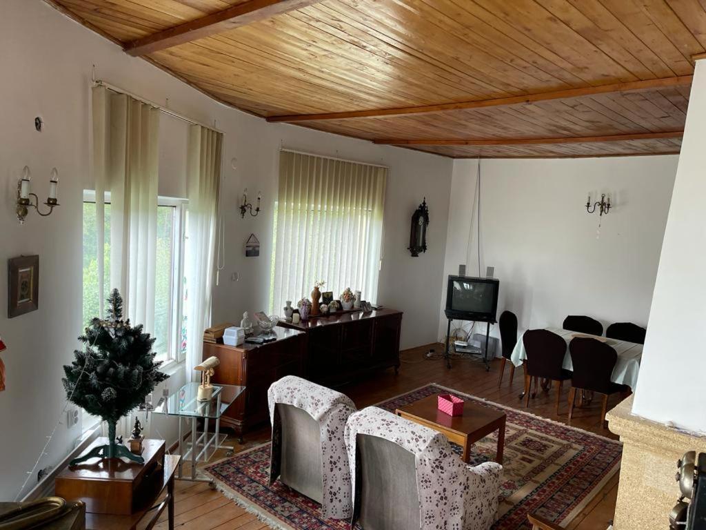 Villa Casa Adelina Valea Lunga-Cricov Esterno foto