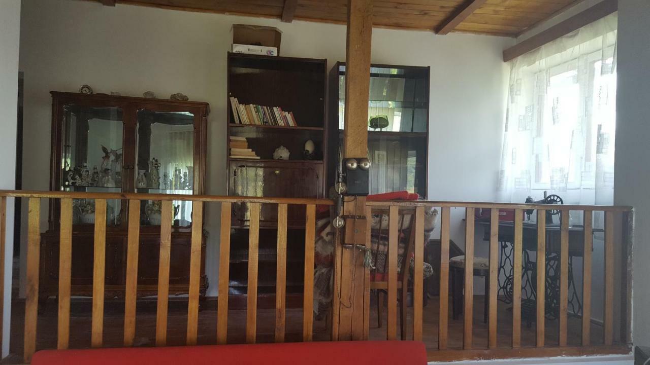 Villa Casa Adelina Valea Lunga-Cricov Esterno foto
