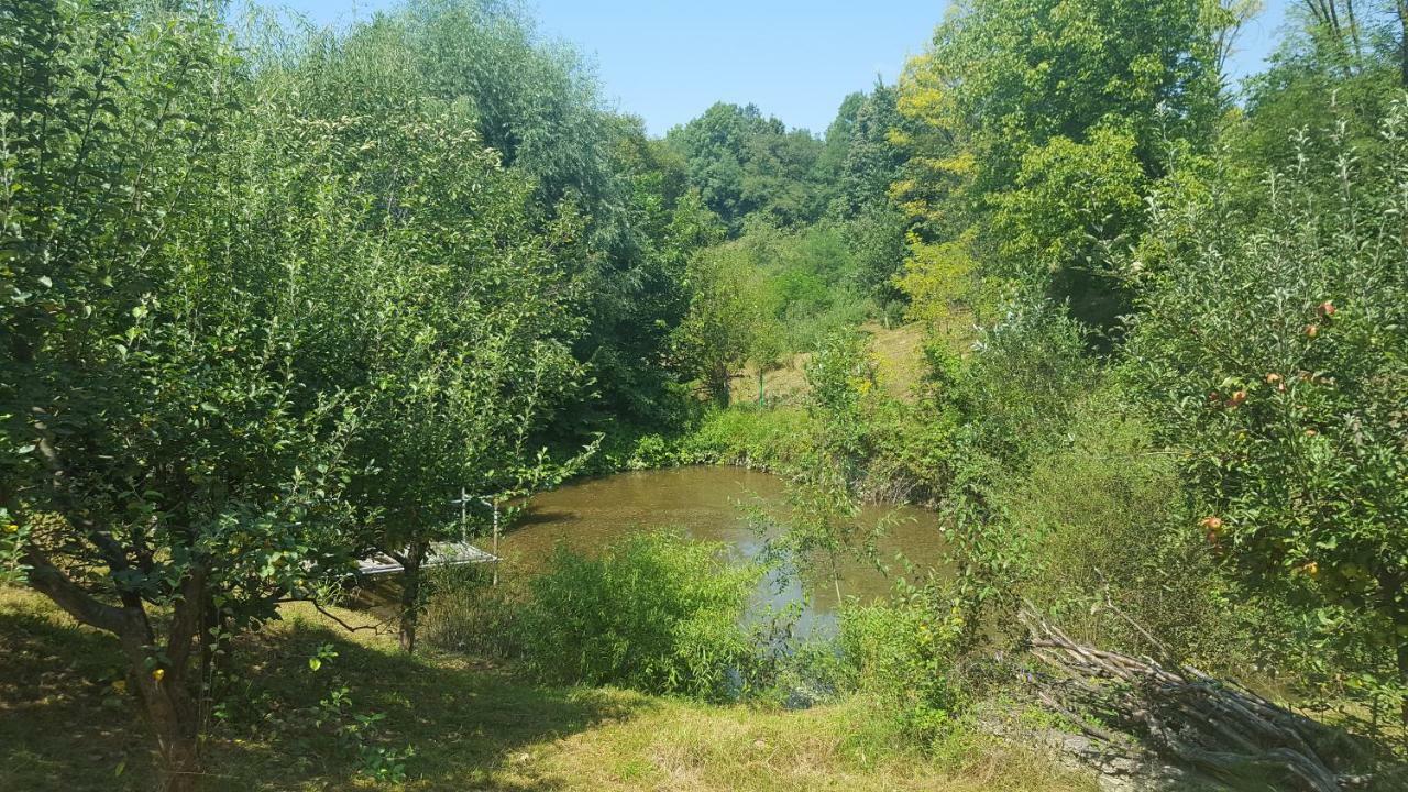 Villa Casa Adelina Valea Lunga-Cricov Esterno foto