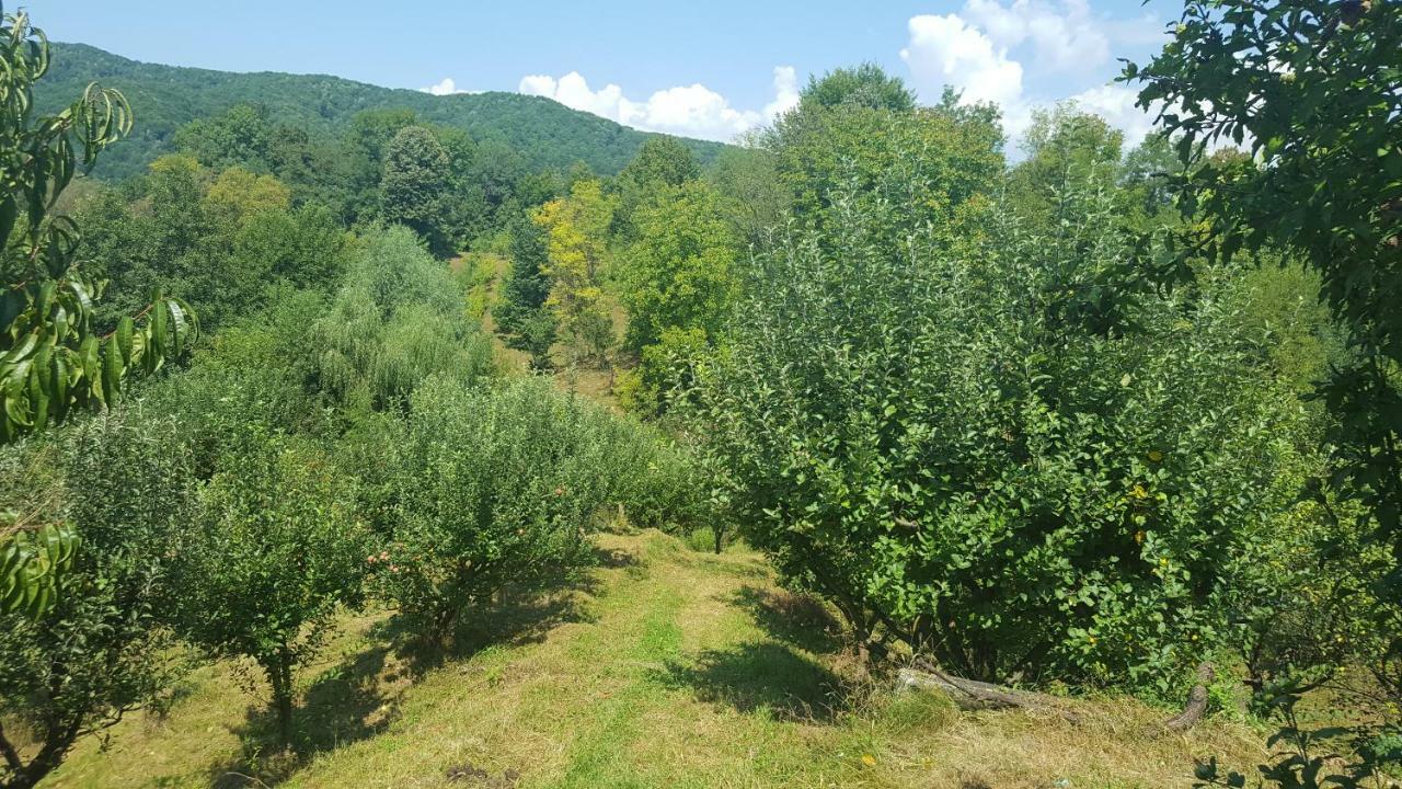 Villa Casa Adelina Valea Lunga-Cricov Esterno foto