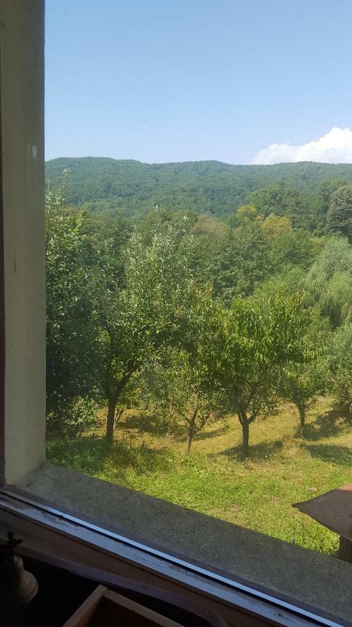 Villa Casa Adelina Valea Lunga-Cricov Esterno foto